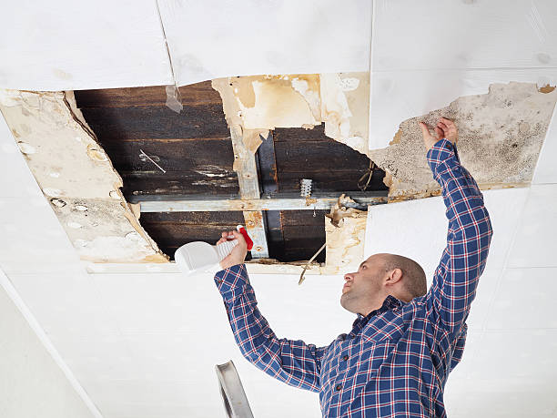 Best Water Damage & Mold Remediation  in Great Falls, MT